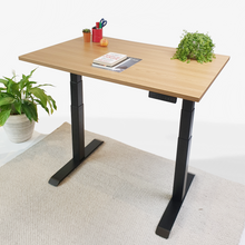 Afbeelding in Gallery-weergave laden, MOGI I - ZITSTA BUREAU
